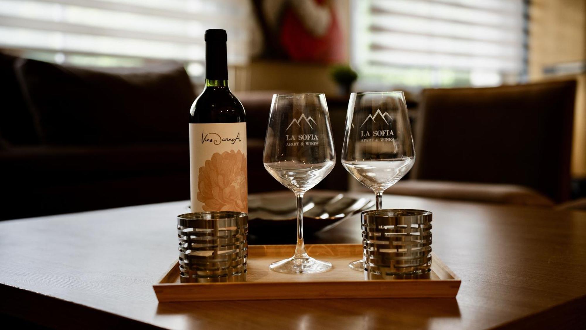 La Sofia Apart & Wines 멘도사 외부 사진